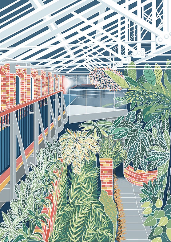 Inside the Tropical Ravine