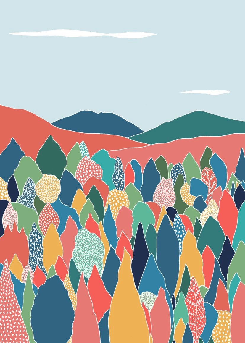 Mourne Mountains Print
